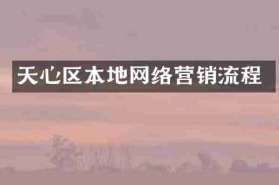 天心区本地网络营销流程