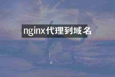 nginx代理到域名