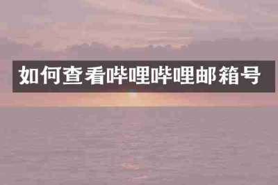 如何查看哔哩哔哩邮箱号