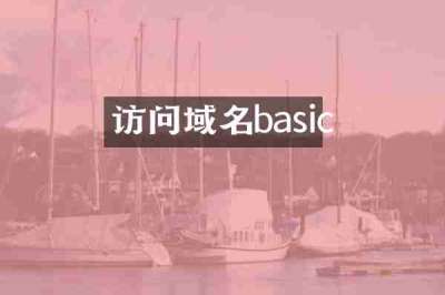 访问域名basic
