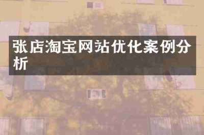 张店淘宝网站优化案例分析