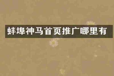 蚌埠神马首页推广哪里有