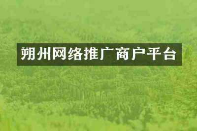 朔州网络推广商户平台