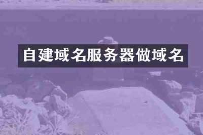 自建域名服务器做域名