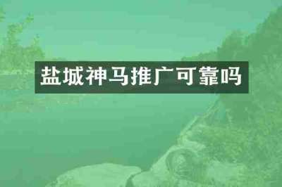 盐城神马推广可靠吗