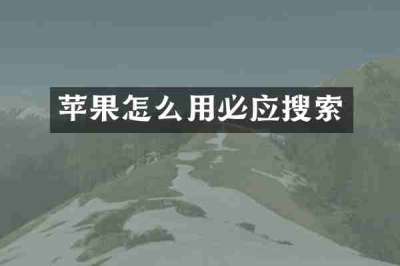 苹果怎么用必应搜索