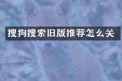 搜狗搜索旧版推荐怎么关