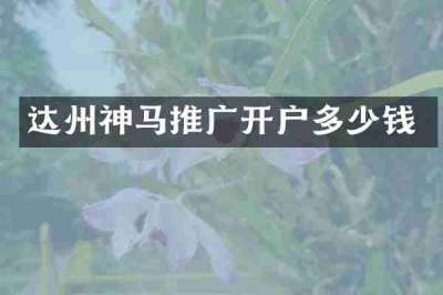 达州神马推广开户多少钱