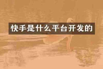 快手是什么平台开发的