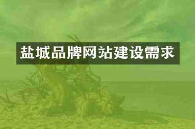 盐城品牌网站建设需求