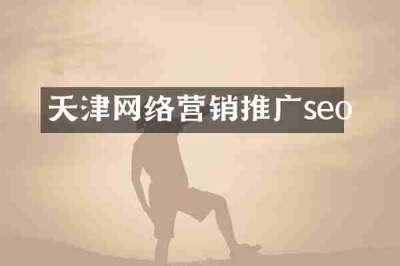 天津网络营销推广seo