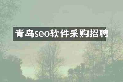 青岛seo软件采购招聘