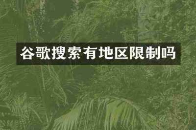 谷歌搜索有地区限制吗