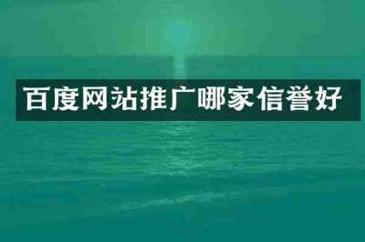 百度网站推广哪家信誉好
