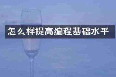 怎么样提高编程基础水平