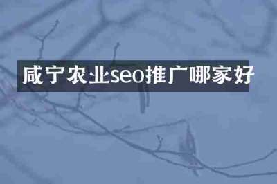 咸宁农业seo推广哪家好