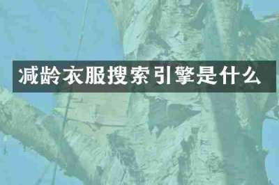 减龄衣服搜索引擎是什么