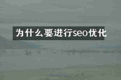 为什么要进行seo优化