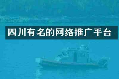 四川有名的网络推广平台