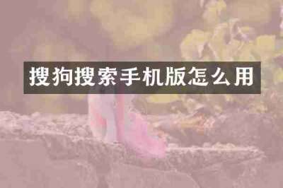 搜狗搜索手机版怎么用