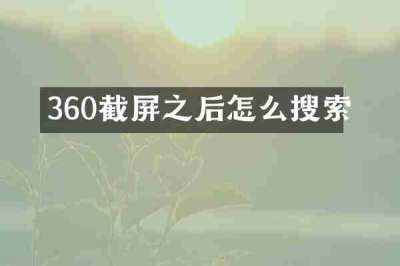 360截屏之后怎么搜索