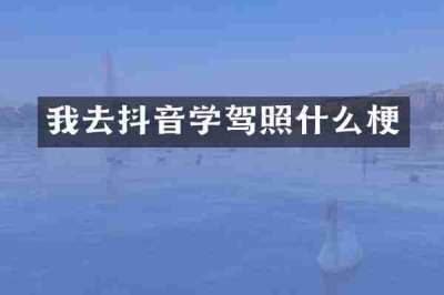 我去抖音学驾照什么梗