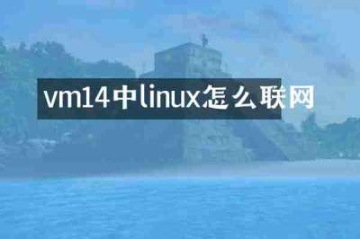 vm14中linux怎么联网