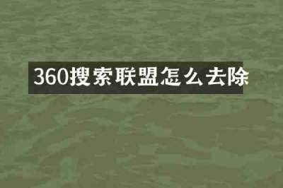 360搜索联盟怎么去除