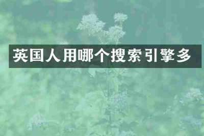 英国人用哪个搜索引擎多
