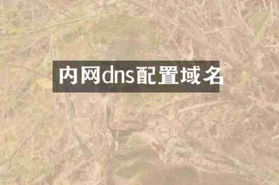 内网dns配置域名