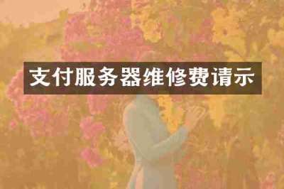 支付服务器维修费请示