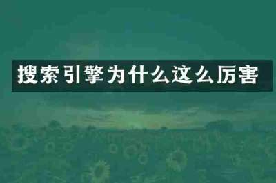 搜索引擎为什么这么厉害