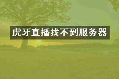 虎牙直播找不到服务器