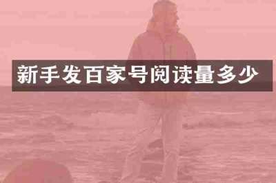 新手发百家号阅读量多少