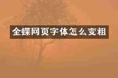 金蝶网页字体怎么变粗