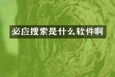 必应搜索是什么软件啊