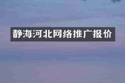 静海河北网络推广报价