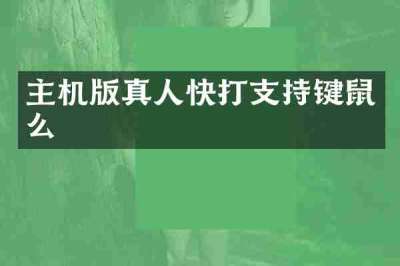 主机版真人快打支持键鼠么