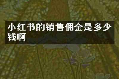 小红书的销售佣金是多少钱啊