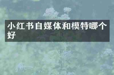 小红书自媒体和模特哪个好
