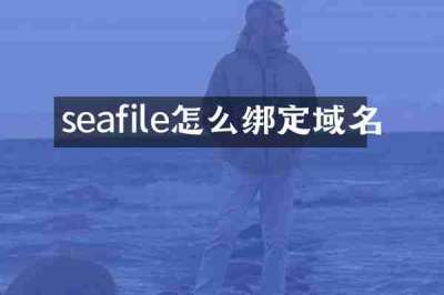 seafile怎么绑定域名