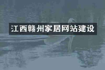 江西赣州家居网站建设