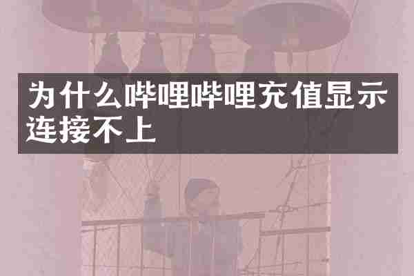 为什么哔哩哔哩充值显示连接不上