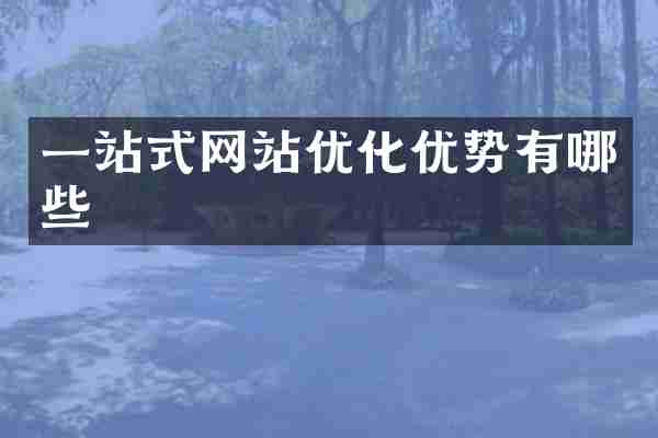 一站式网站优化优势有哪些