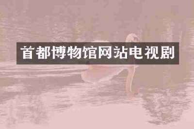 首都博物馆网站电视剧