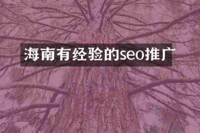 海南有经验的seo推广