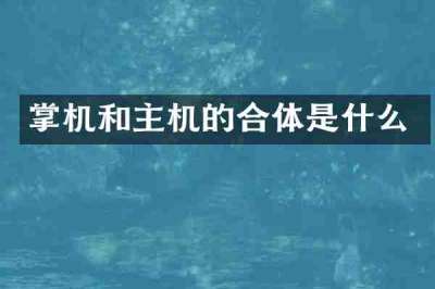 掌机和主机的合体是什么
