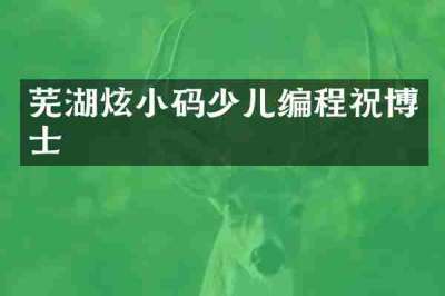 芜湖炫小码少儿编程祝博士