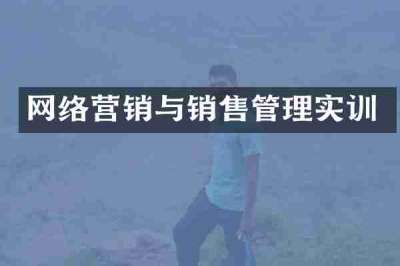 网络营销与销售管理实训