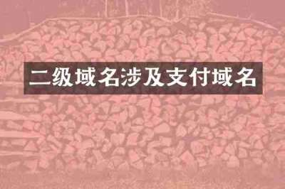 二级域名涉及支付域名